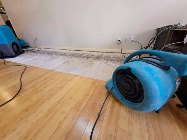 Professional Water Damage Repair technician working in Claysville, PA